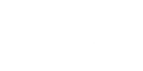 Logo O Google Partner